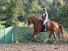 dressage horse De Big Red Fussel (Oldenburg, 2006, from De Kuyper)