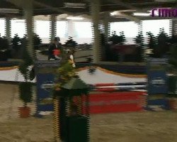 jumper Lady 2170 (Westphalian, 2007, from Lupicor)