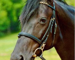 broodmare Rebana (Zweibrücken, 1996, from Rosenzauberer)