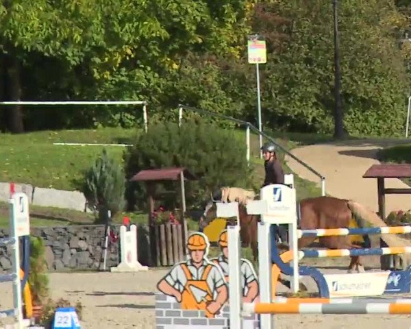 Reitturnier Frankenhof-Sonnefeld/Ofr. 2022