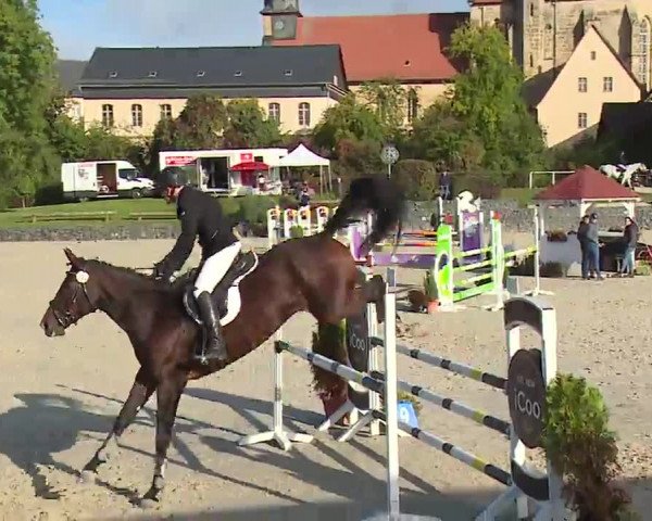 Reitturnier Frankenhof-Sonnefeld/Ofr. 2022