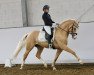 Dressurpferd Heiligenbergs Di Santo (Deutsches Reitpony, 2015, von Drei D AT)