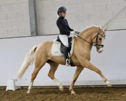 Dressurpferd Heiligenbergs Di Santo (Deutsches Reitpony, 2015, von Drei D AT)