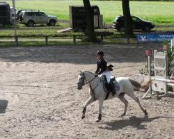 broodmare Balou (German Riding Pony, 1994, from Navajo)