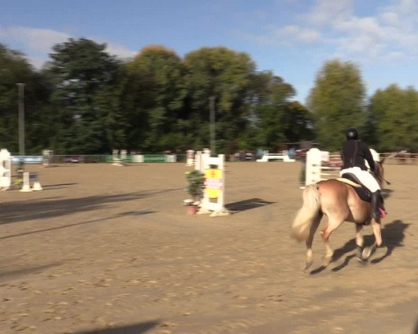 Reitturnier Kamen 2022