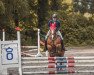 Springpferd Melle (Haflinger, 2010)