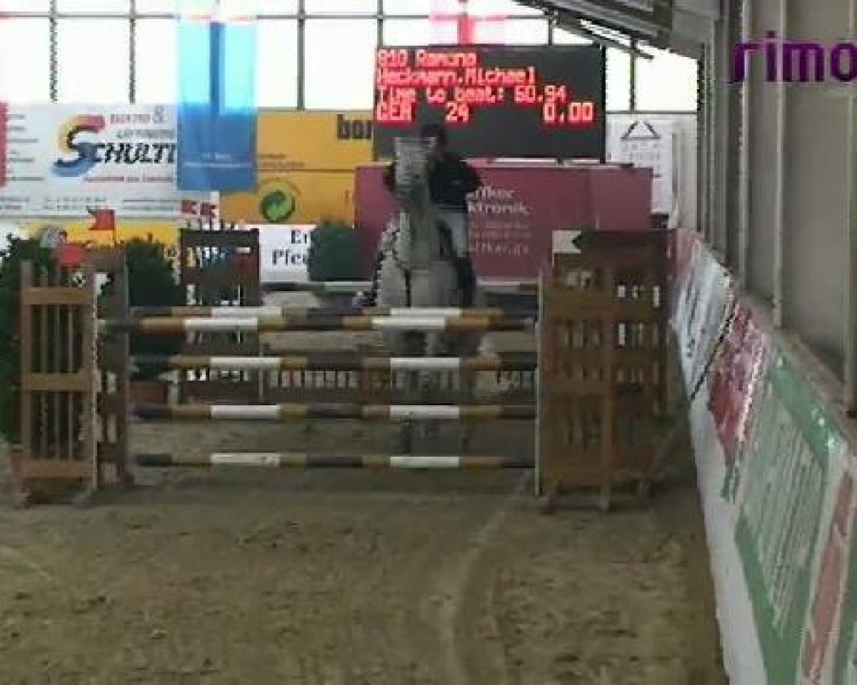 jumper Ramona 1010 (Holsteiner, 2001, from Carolus I)