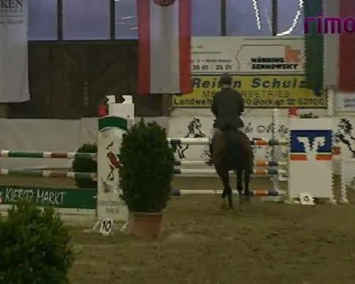 stallion Saffier 10 (Hanoverian, 2005, from Stakkato)