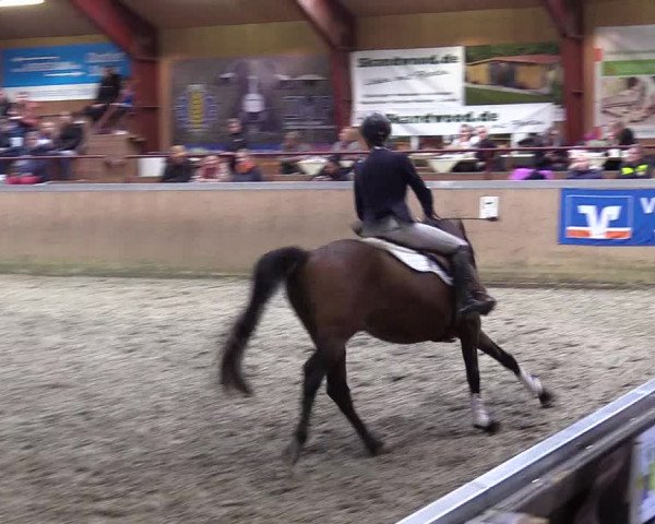 Jugendturnier Indoors Behrendorf 2022