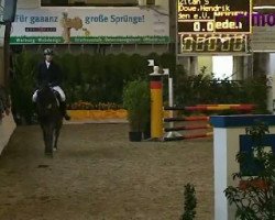 jumper Quibble 4 (Westphalian, 2007, from Quinta Real)
