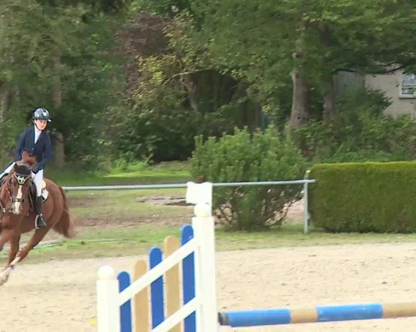 Reitturnier Frankenhof-Sonnefeld/Ofr. 2022