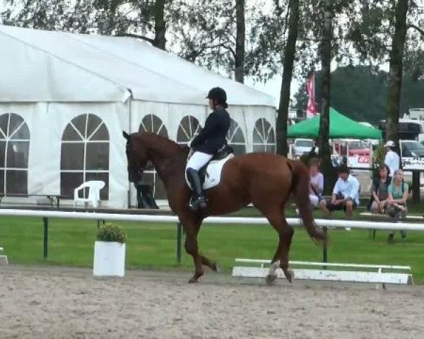 dressage horse Lady Furiosa (Hanoverian, 2000, from Londonderry)