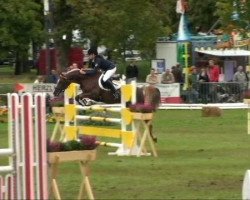 jumper Lady Bergarac (German Riding Pony, 2002, from Bergarac)