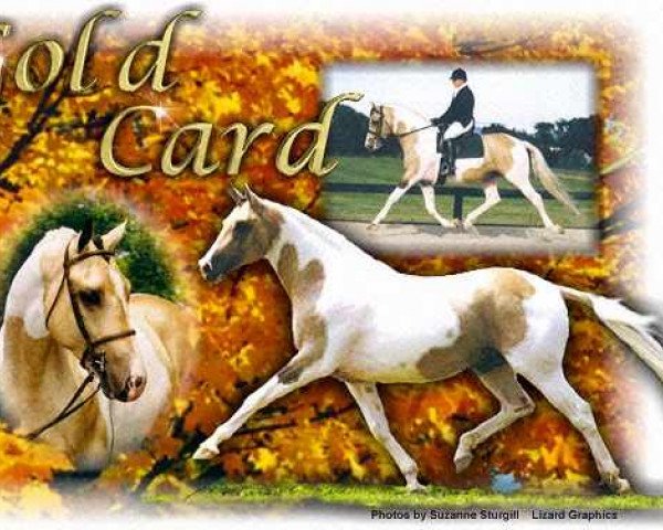 stallion Gold Card (KWPN (Royal Dutch Sporthorse), 1992, from Hall of Fame)