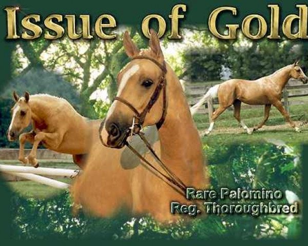 stallion Issue Of Gold xx (Thoroughbred, 1994, from Gold Apollo xx)