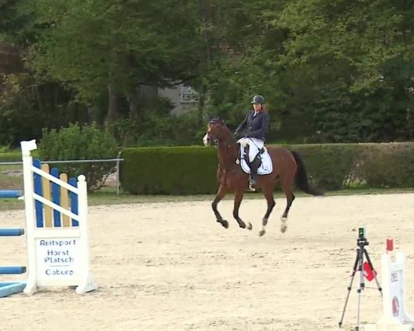 Reitturnier Frankenhof-Sonnefeld/Ofr. 2022