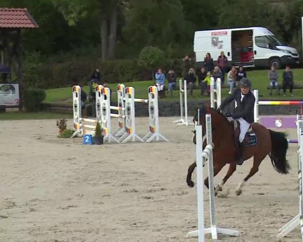 Reitturnier Frankenhof-Sonnefeld/Ofr. 2022