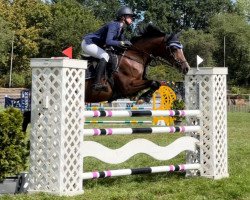 jumper Destiny's Dream 2 (German Riding Pony, 2007, from Blokland's Hoeve's Mr. Silvano)