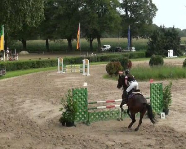 jumper Eddy Cursey (Hanoverian, 2001, from Espri)