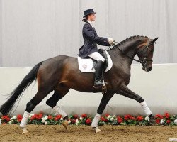 dressage horse San Floriana (Westphalian, 2006, from Sir Donnerhall I)