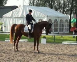 dressage horse Friedl's Fangio (Holsteiner, 1996, from Falkner)