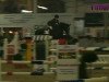 jumper Zerona (KWPN (Royal Dutch Sporthorse), 2004, from Quattro B)