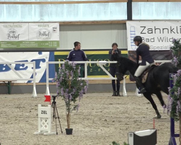 Reitturnier Borken 2022