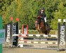 jumper A.W.I Marry Poppins (German Riding Pony, 2012, from Marco)