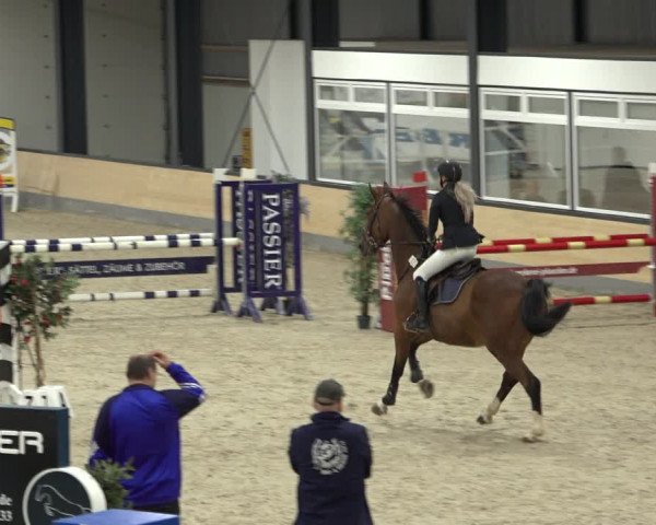Reitturnier Borken 2022