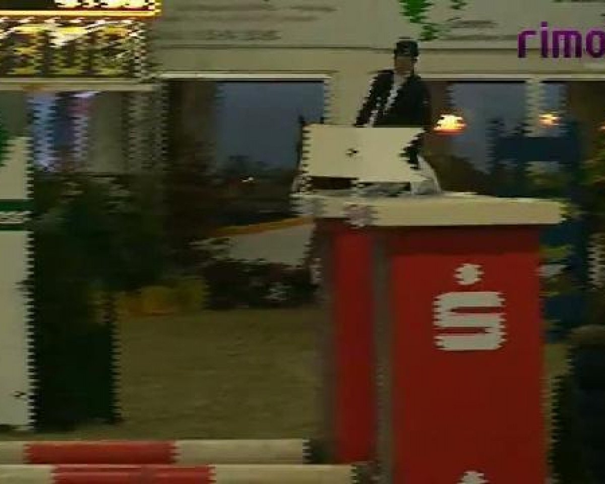 jumper E Jewel S Energy (Belgian Warmblood, 2004, from Dominard)