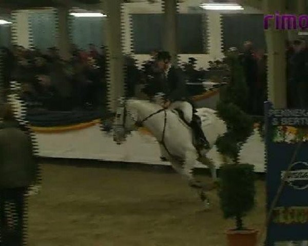 stallion Clintop 3 (KWPN (Royal Dutch Sporthorse), 2003, from Clinton)