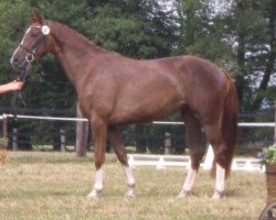 broodmare Finesse (Westphalian, 2008, from Floresco NRW)