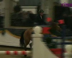 Springpferd Wilardo Uno (KWPN (Niederländisches Warmblut), 2003, von Numero Uno)