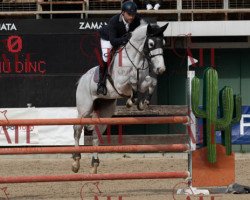 jumper Jardel (KWPN (Royal Dutch Sporthorse), 2014, from Power Blue)