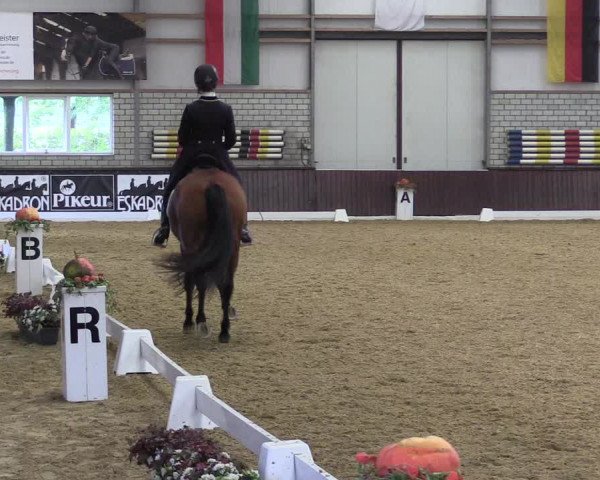 Reitturnier Kirchhellen Stall "Zur Linde" 2022