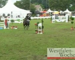dressage horse Pascalina 9 (German Riding Pony, 2005, from Principal Boy)