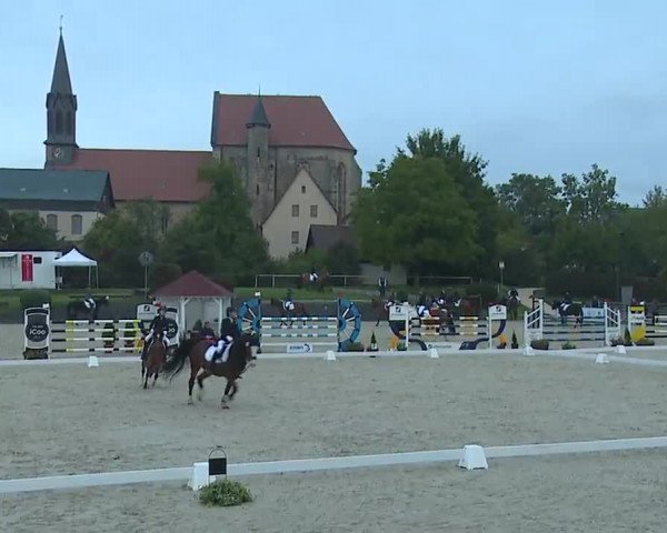 Reitturnier Frankenhof-Sonnefeld/Ofr. 2022