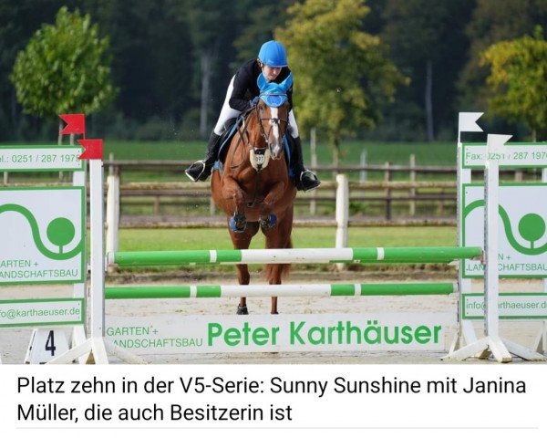 jumper Sunny Sunshine 7 (Spanish Sport Horse, 2014)