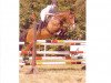 horse Whisky 219 (Hanoverian, 1990, from Wales)