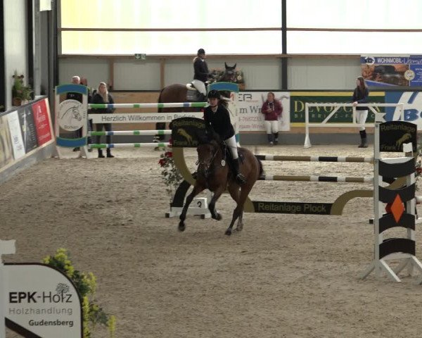Reitturnier Borken 2022