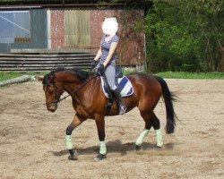 dressage horse Whisper (Hanoverian, 2006, from Worldly I)