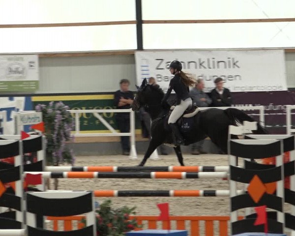 Reitturnier Borken 2022