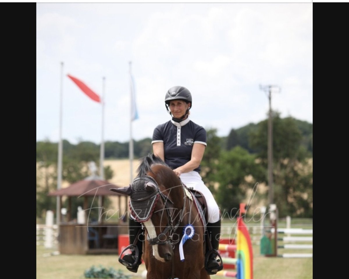 jumper Clooneys Nonstop Nonsens (German Sport Horse, 2016, from Clooney)