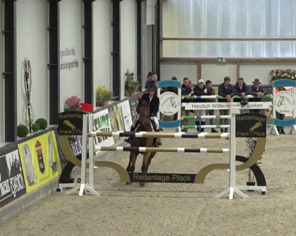Reitturnier Borken 2022