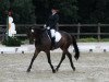 dressage horse Fritzchen 55 (Westphalian, 2002, from Feinsinn)