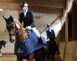 dressage horse Rusty 261 (Saxony-Anhaltiner, 2001, from Royal Dance)