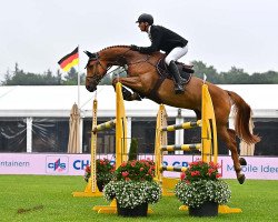 jumper Chronos 36 (Hanoverian, 2015, from Cador 5)