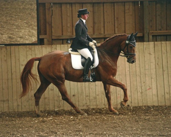 broodmare Beverly (German Sport Horse, 2004, from Carpe noctem)