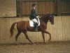 broodmare Beverly (German Sport Horse, 2004, from Carpe noctem)