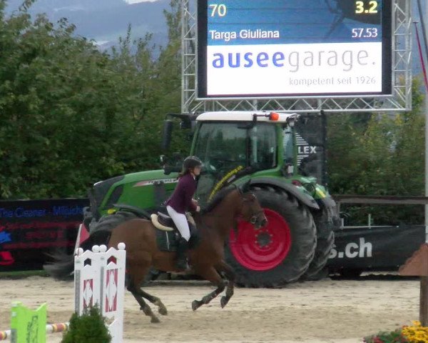 Pferdesporttage Wädenswil 2022